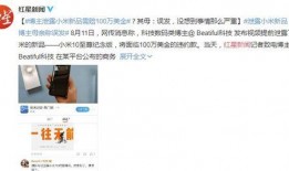 爆料儿子去美国了吗视频,儿子神秘赴美之谜，真相即将揭晓！