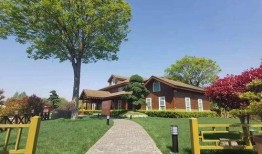 南京彩票爆料最新消息查询,揭秘中奖秘诀与热门玩法揭晓